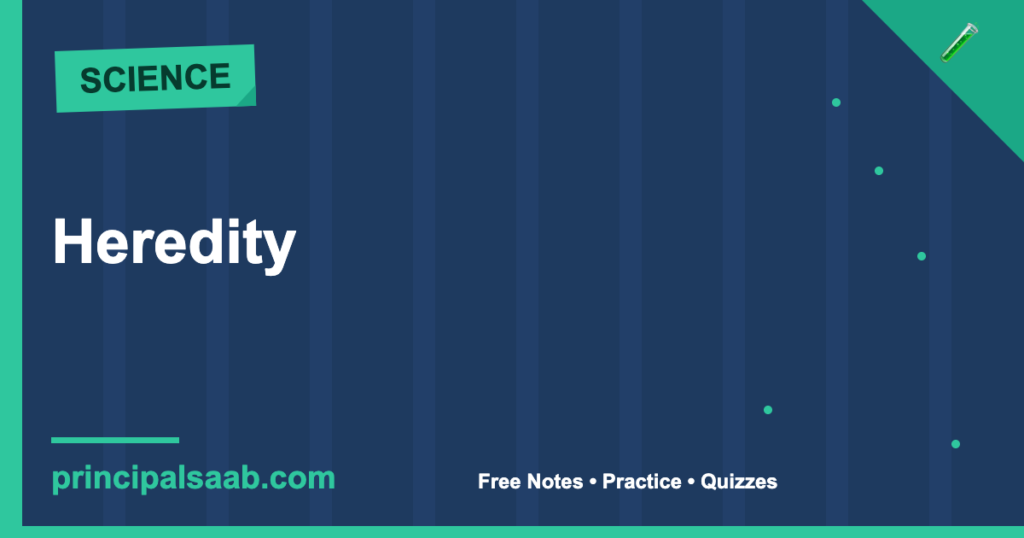 Heredity — Class 10 Science Notes & Practice