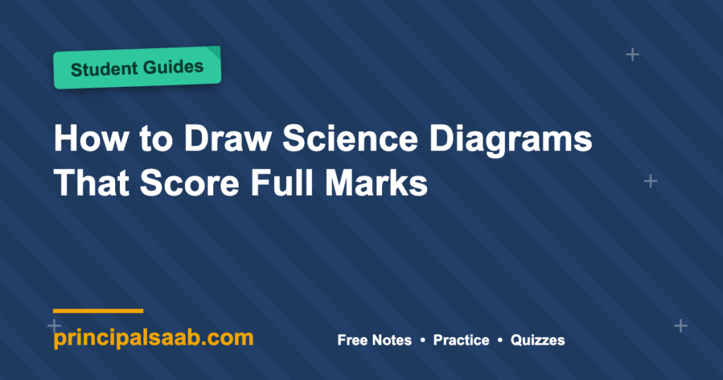 How to Draw Science Diagrams That Score Full Marks