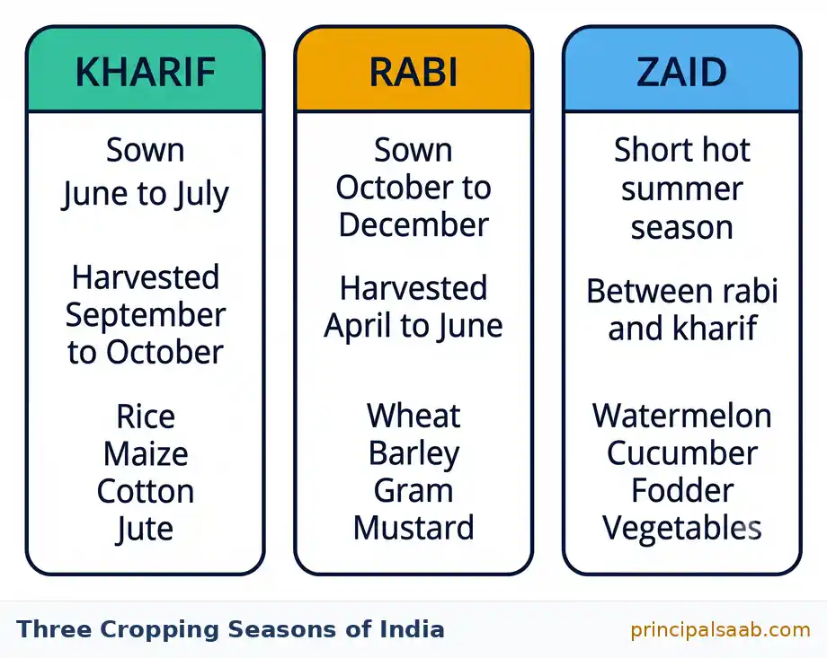 Three panel chart of India’s cropping seasons showing sowing and harvesting months and main crops for kharif, rabi and zaid.