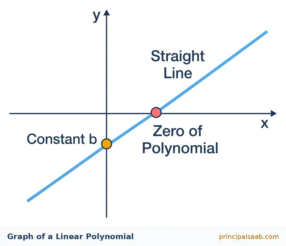 A graph of a linear polynomial on the coordinate plane, showing a straight line that crosses the y axis at the point marked Constant b and crosses the x axis at the point marked Zero of Polynomial.