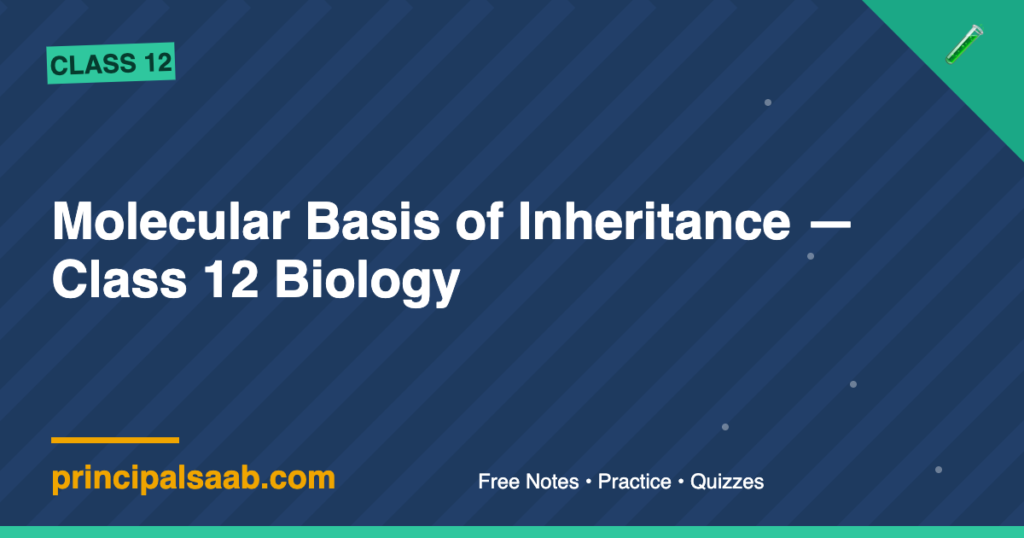 Molecular Basis of Inheritance — Class 12 Biology Notes & Practice