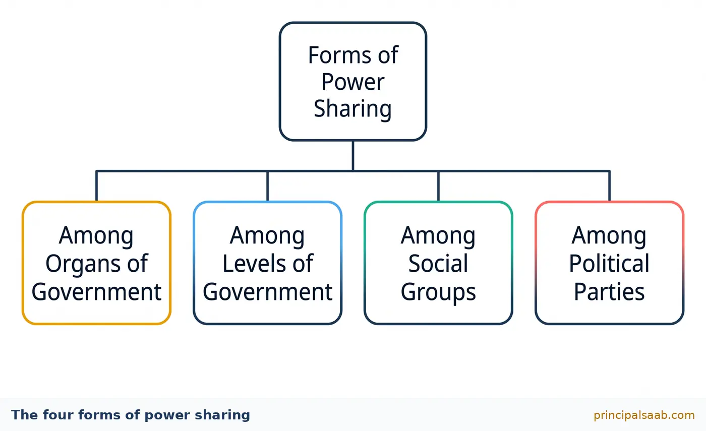 Flowchart with a box reading Forms of Power Sharing branching into four boxes: Among Organs of Government, Among Levels of Government, Among Social Groups, and Among Political Parties.