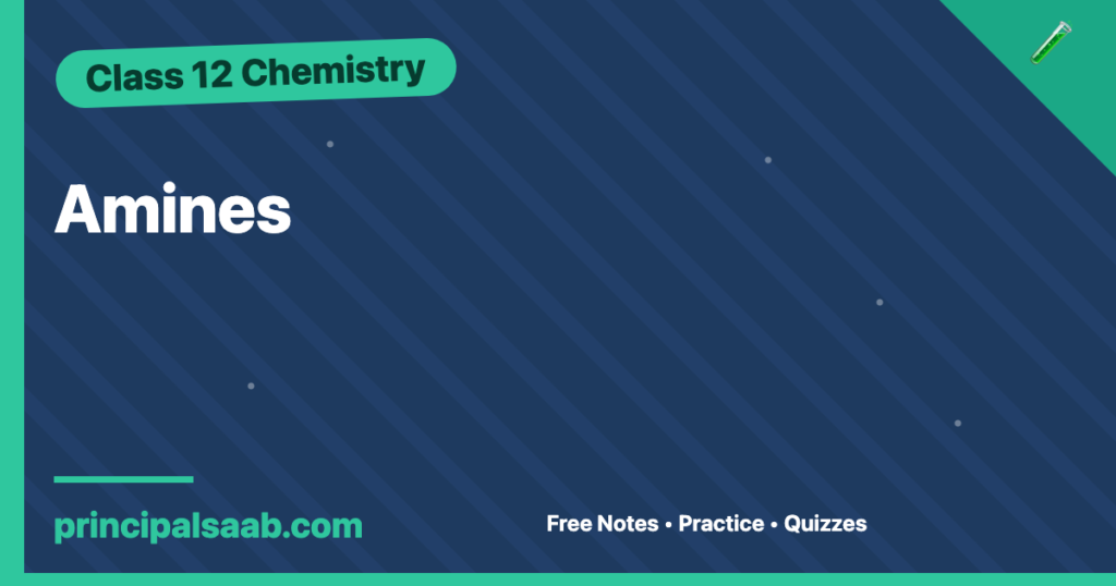 Amines — Class 12 Chemistry Notes & Practice