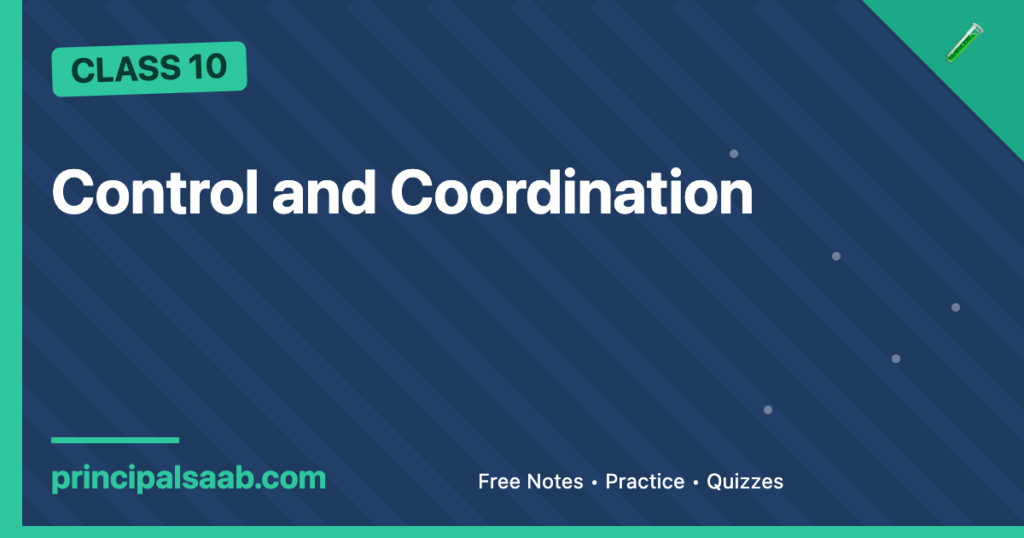 Control and Coordination — Class 10 Science Notes & Practice