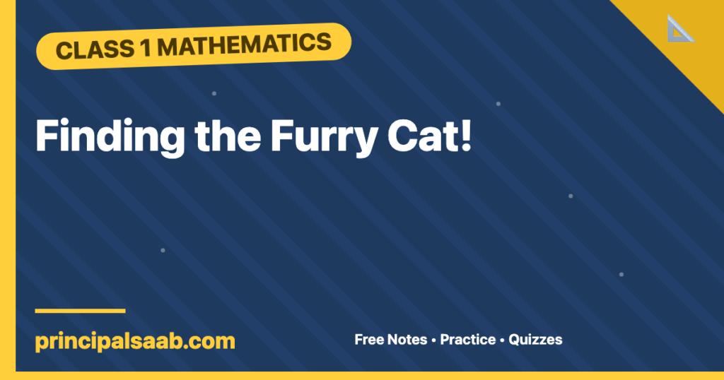 Finding the Furry Cat! — Class 1 Mathematics Notes & Practice