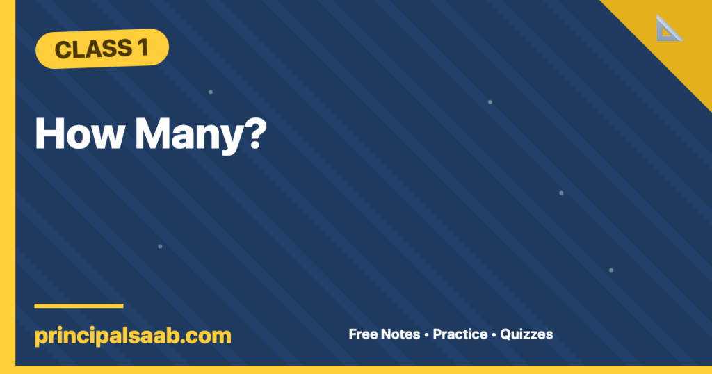 How Many? — Class 1 Mathematics Notes & Practice