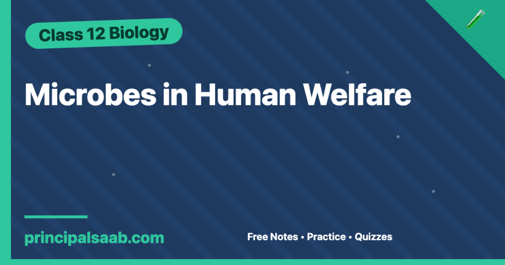 Microbes in Human Welfare — Class 12 Biology Notes & Practice