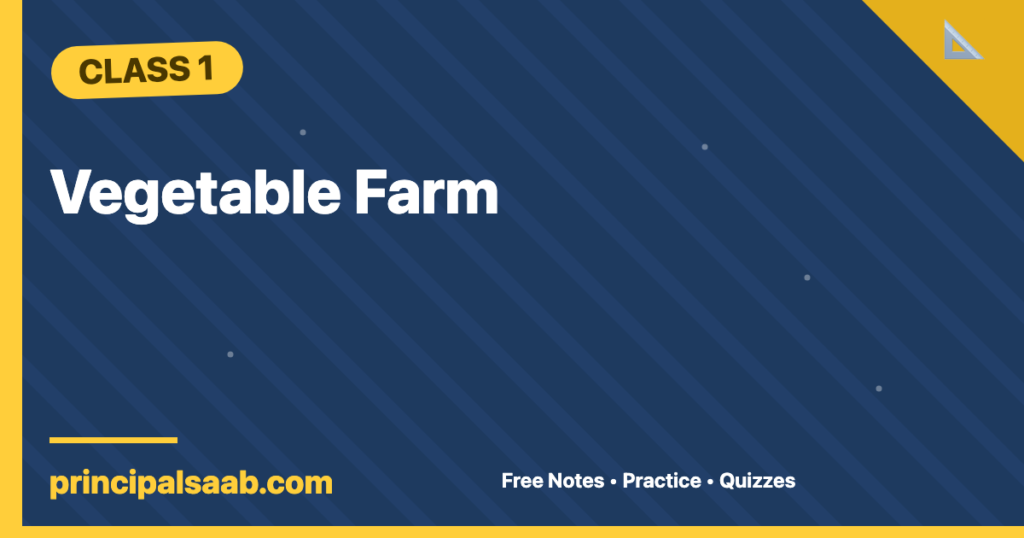 Vegetable Farm — Class 1 Mathematics Notes & Practice